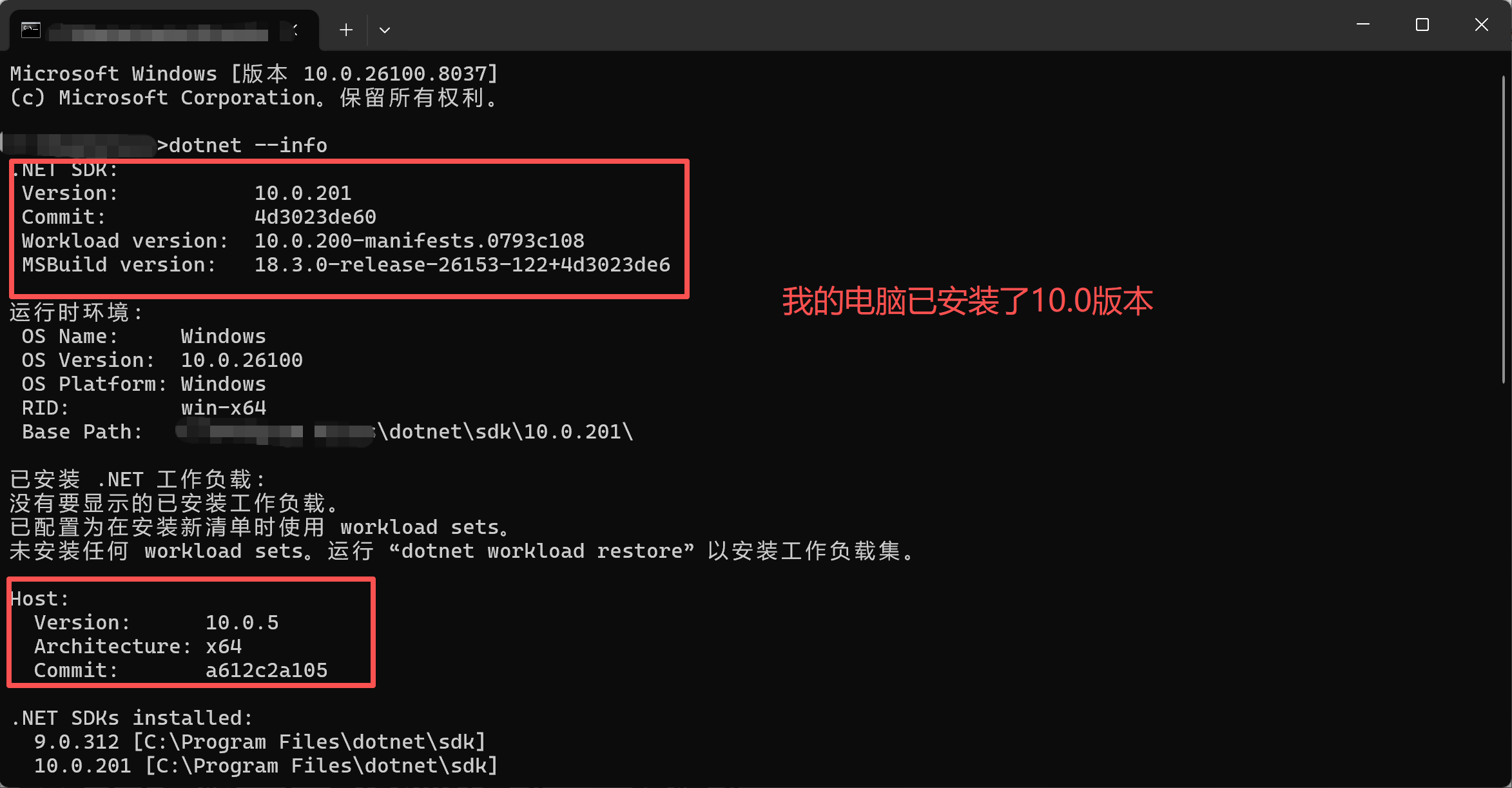 命令行终端执行dotnet --info命令显示.NET 8版本信息的截图